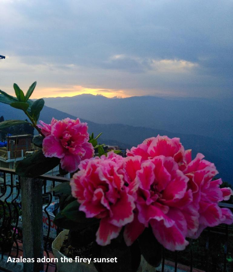 West Point Backpackers Hostel Darjeeling  Buitenkant foto
